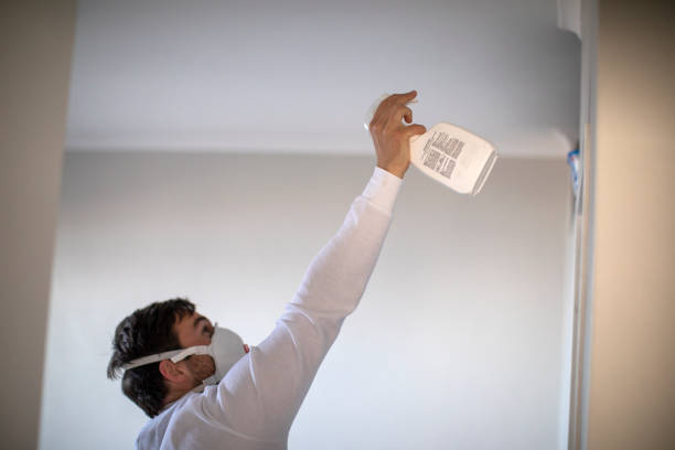 Best Same-Day Mold Removal  in Trabuco Nyon, CA