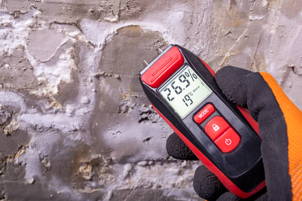 Best Professional Mold Removal  in Trabuco Nyon, CA