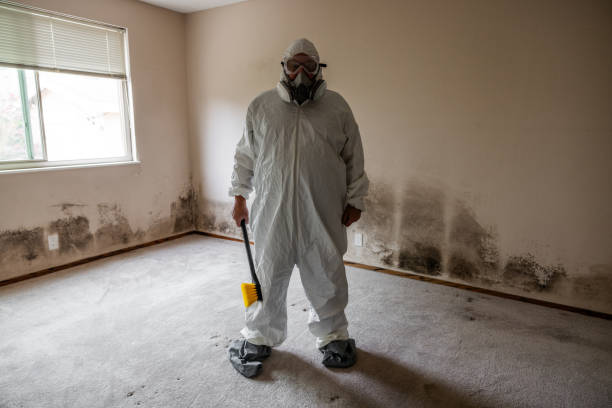 Best Certified Mold Removal  in Trabuco Nyon, CA